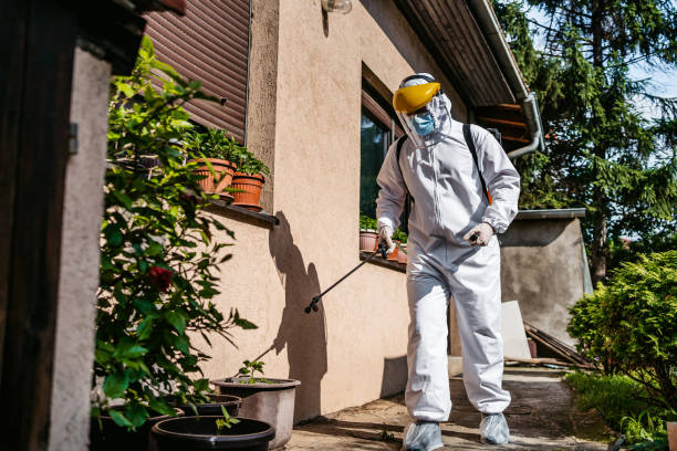 Best Emergency Pest Control  in Catasauqua, PA
