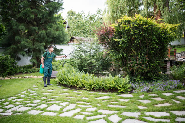 Best Pest Inspection Near Me  in Catasauqua, PA