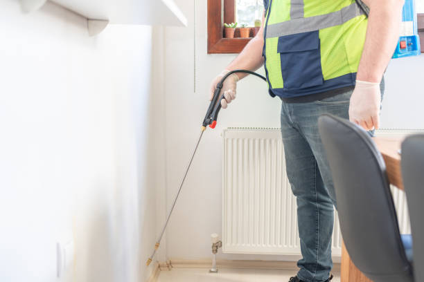 Best Wasp Removal Services  in Catasauqua, PA